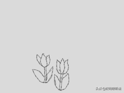 花的图片大全大图简笔画（花的图片大全大图简笔画郁金香）