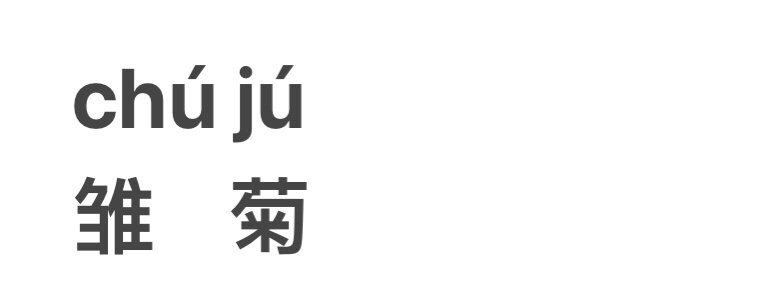 雏菊怎么读（雏菊怎么读英语）