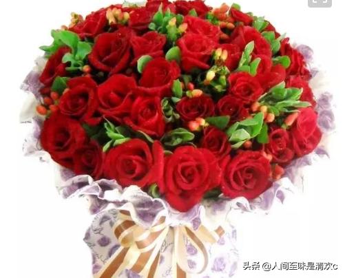 玫瑰花语1到100图片（玫瑰花语1-100）