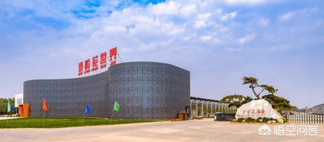 西安最大的花卉市场批发市场