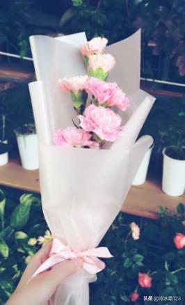 不同康乃馨颜色的花语（不同颜色康乃馨代表什么象征意义）
