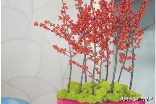 插花图片大全简单好看（插花图片大全简单好看视频）
