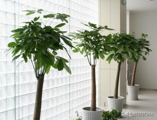 漂亮的花朵图片 鲜艳（漂亮的花朵图片 鲜艳画画）