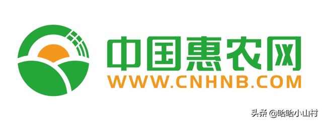 求购网（求购网线接口rj45）