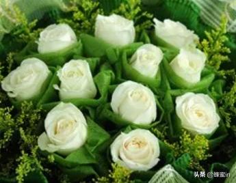 十一朵玫瑰花代表啥意思（十一朵玫瑰代表什么寓意）