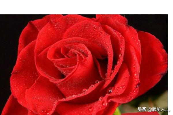 情人节送什么礼物给女朋友（情人节送什么礼物给女朋友最好）