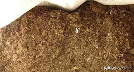 草炭土批发基地_哪里有销售草炭土的地方