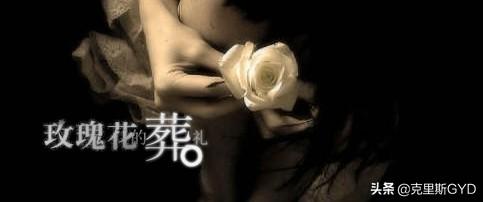 玫瑰花的葬礼歌词图片_玫瑰花的葬礼歌词图片唯美